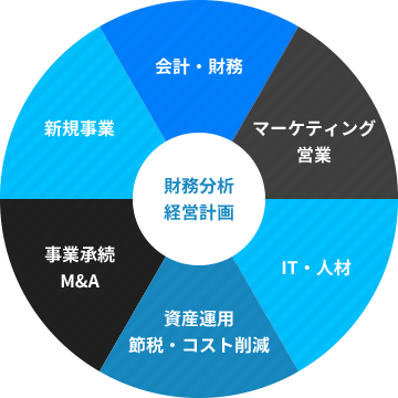 財務分析 経営計画 会計・財務 マーケティング 営業 IT・人材 資産運用 節税・コスト削減 事業承続 M&A 新規事業